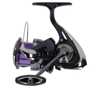 Beperkte Voorraad Daiwa 24 Prorex X LT Spinmolen 2000