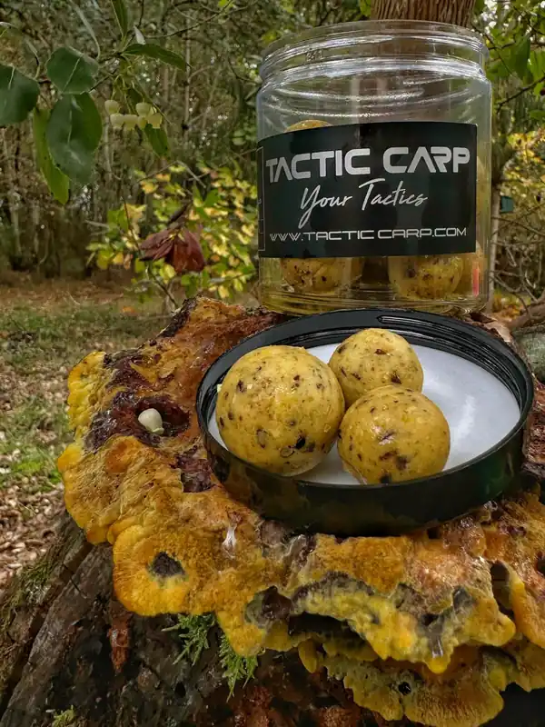 Hete Deal Tactic Carp Boosted Hard Hookbaits 20/25mm Creamy Custard