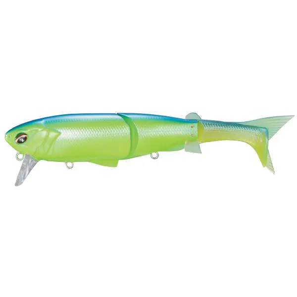 Shimano Bantam BT Force Chart Gill Halo Premium