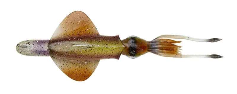 Goedkoop Savage Gear Swim Squid Rtf Zeevis Kunstaas 25cm (160g) White Glow Cuttlefish