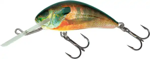 Veilige Betaling Salmo Hornet 4cm Sinking RBR