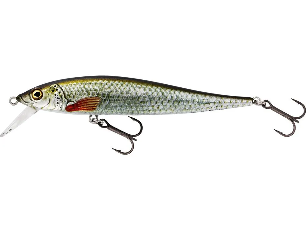 Westin Jerkbite SR Jerkbait 9cm 8 gram Suspending Real Roach Merkproduct