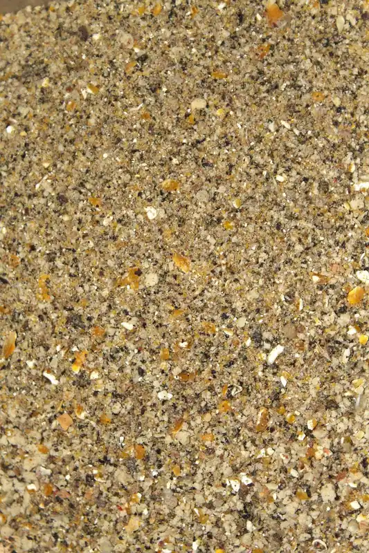 Livebait Karper Lokvoer 15 Kilo Aanbieding