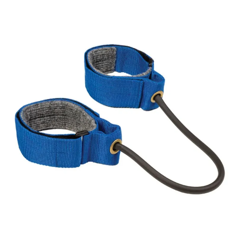 Favoriet Champion Sports Laterale Weerstand - Blauw