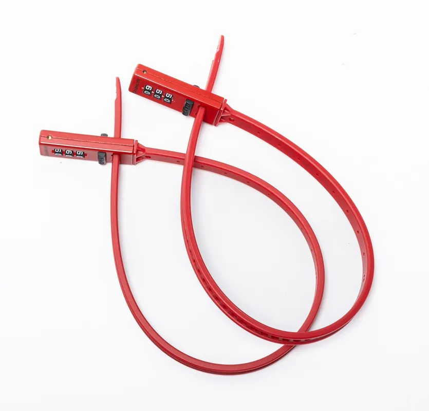 DoubleLock Strap Lock (2 Stuks) Veilige Betaling