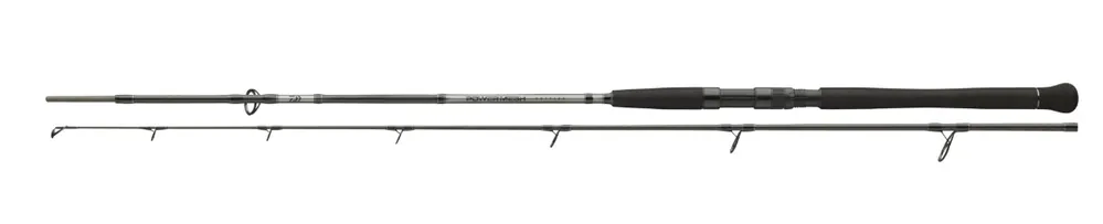 Bestel Nu Daiwa Powermesh CF Spin Meervalhengel 2.70m 185g