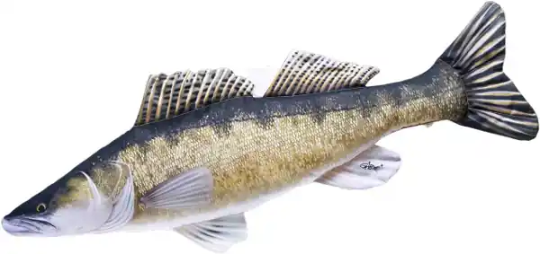 Gaby The Zander The Zander 77cm Uitverkoop