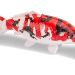 Aanbieding Anaconda Beauty Koi Flesopener Sleutelhanger