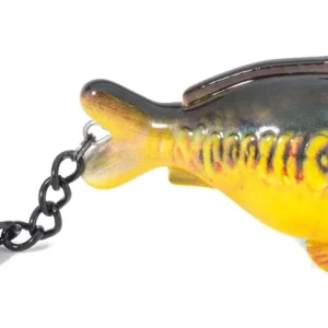 Anaconda Beauty Carp Sleutelhanger Nu Kopen