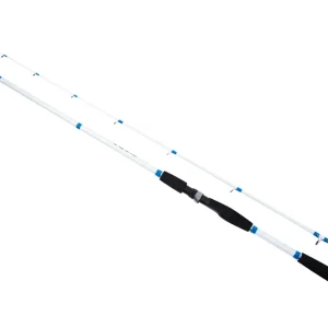 Laatste Versie Catchmax Squid Inktvis Hengel 2.20m (30-150g)