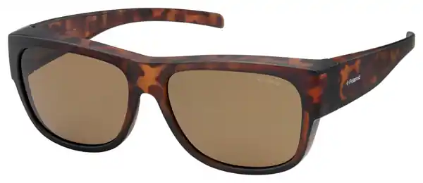 Uitverkoop Polaroid PLD 9003/S Suncover Overzet Zonnebril Havana frame / brown glasses