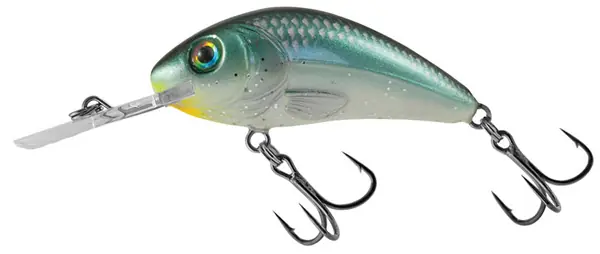 Aanbieding Salmo Rattlin Hornet 5,5cm Viking