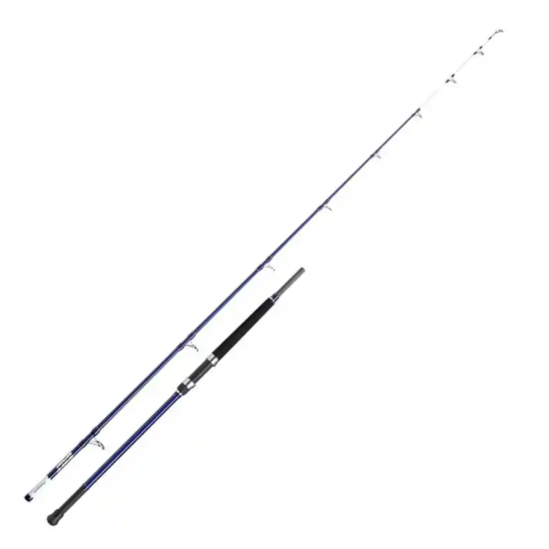 Laatste Versie Shakespeare Salt Uptide Zeevis Hengel 2.70m (170-300g)