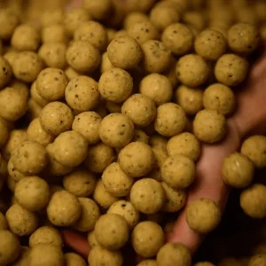 Rechtstreeks Van De Fabrikant Tactic Carp Soluble Boilies Creamy Custard (1kg) 20mm