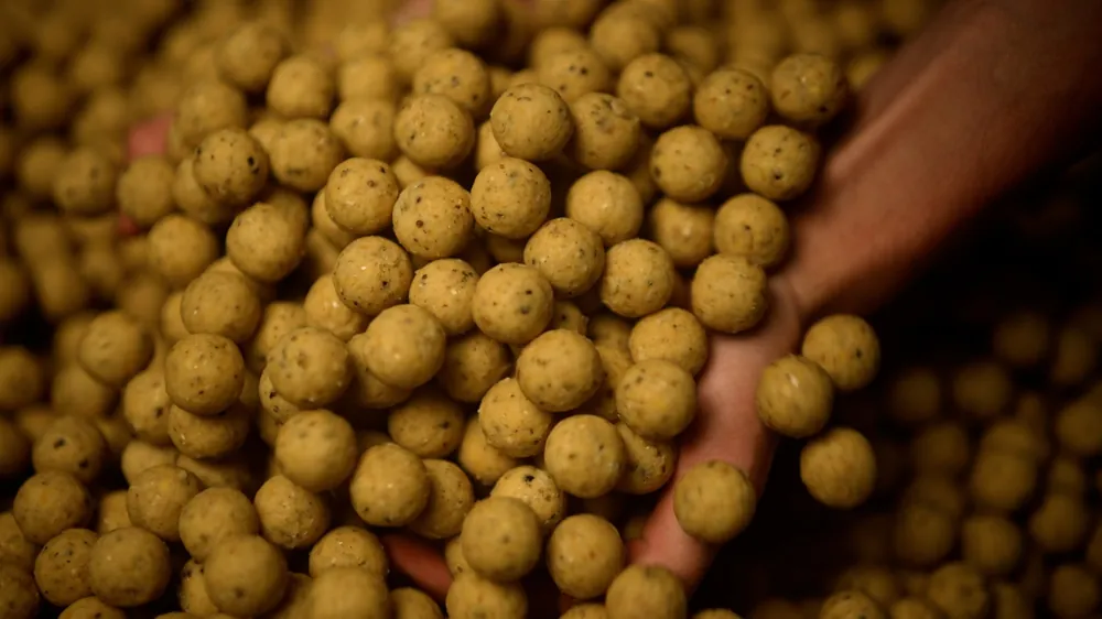 Rechtstreeks Van De Fabrikant Tactic Carp Soluble Boilies Creamy Custard (1kg) 20mm