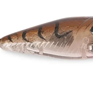 Iron Claw Apace P35 Top Water Popper 3.5cm (2.1g) Direct Beschikbaar