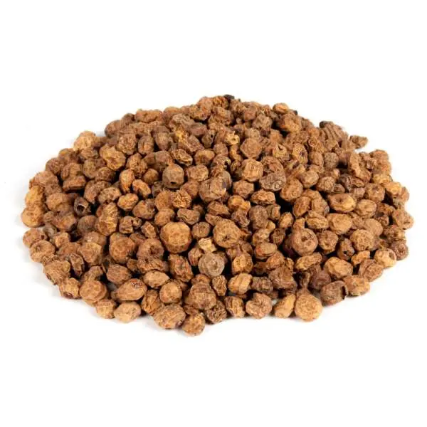 Evezet Tijgernoten Groot | 1kg Aanbieding