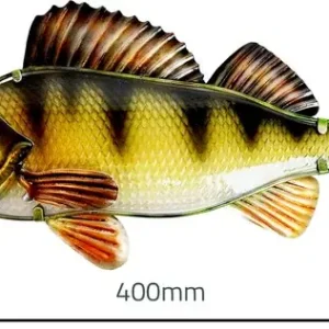Veilige Betaling Eurocatch Baars Muurdecoratie - 40cm - 3-D Metaal en Glas - kunst -Cadeau Tip