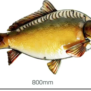 Eurocatch - Spiegelkarper Muurdecoratie - 80cm - Metaal & Glas Alleen Vandaag