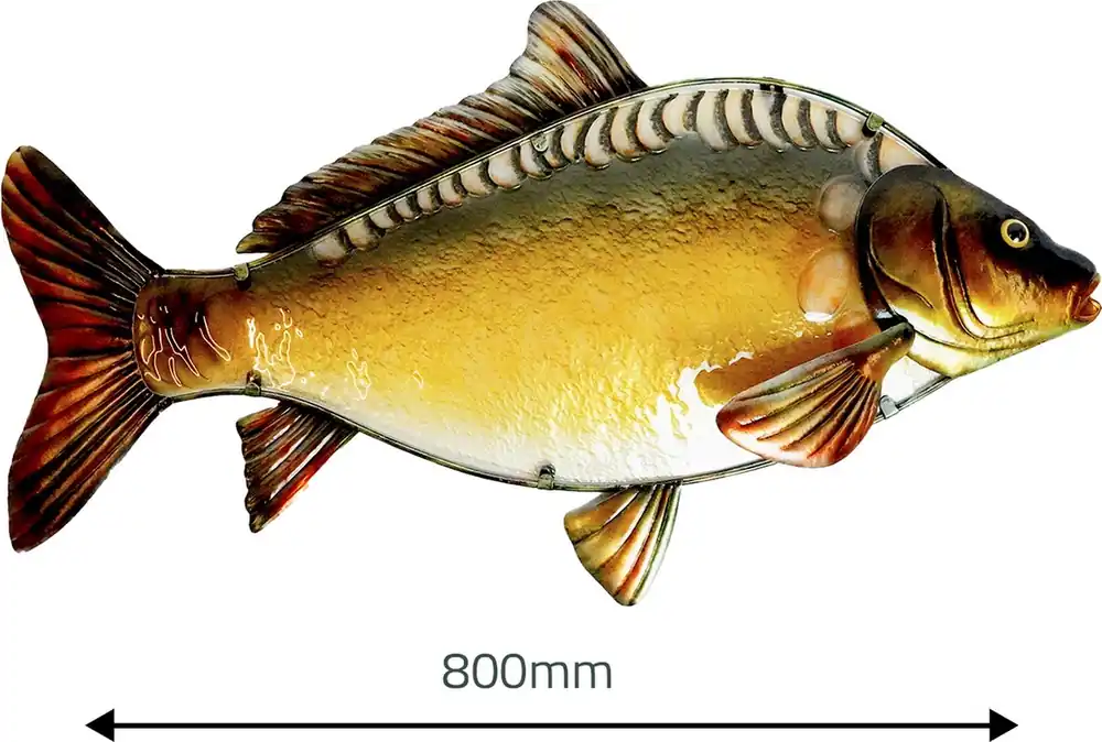 Eurocatch - Spiegelkarper Muurdecoratie - 80cm - Metaal & Glas Alleen Vandaag