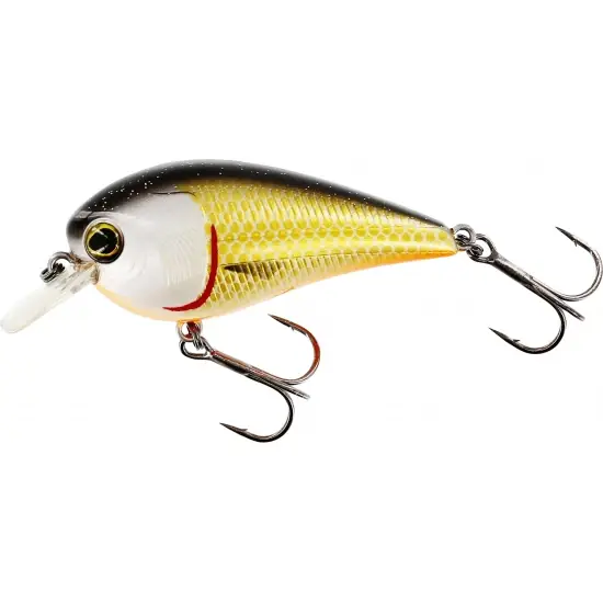 Westin Bassbite 2.5 Squarebill - 7cm - 16g - Floating - Official Roach Fabrieksprijs