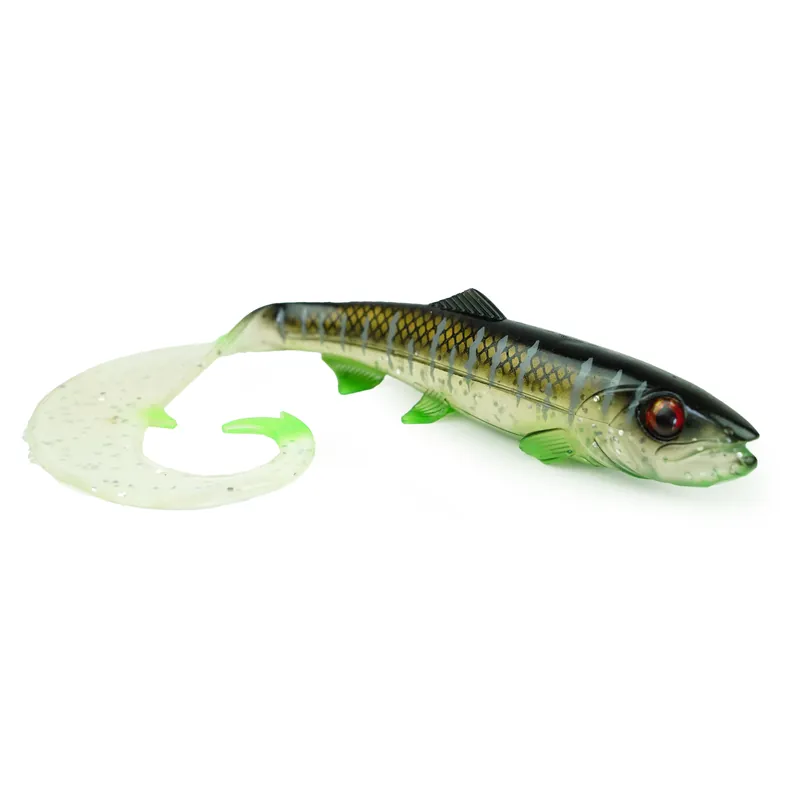 Gecertificeerd Hostagevalley Curlytail - Clear Malawi - 24cm