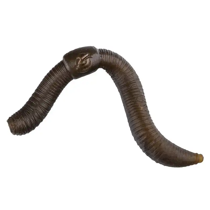 Laatste Versie POLE POSITION POP-UP Worms (10stuks)