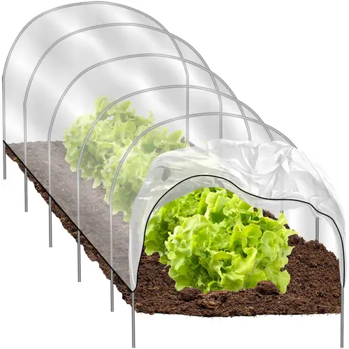 Gardlov Mini Kas - 300 x 45 x 40 cm - Folietunnel voor Groenten Lage Kosten