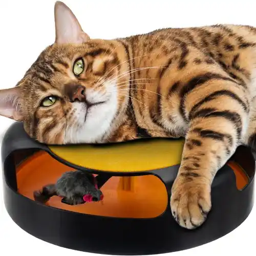 Hete Deal Purlov Kattenspeelgoed - Draaiend Wieltje met Muis en Krabmat - 25 cm